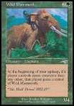 Mammut Selvaggio