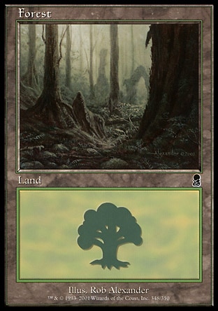 /prodotti/1/65/Forest.jpg