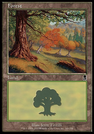 /prodotti/1/65/Forest2.jpg