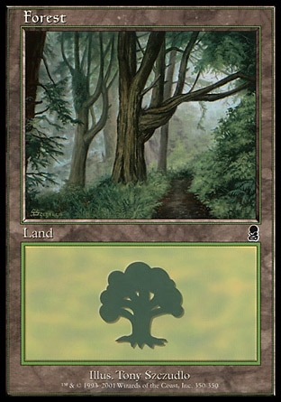 /prodotti/1/65/Forest3.jpg