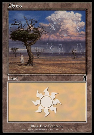 /prodotti/1/65/Plains2.jpg