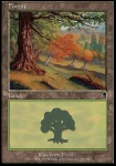 Foresta (V.3)