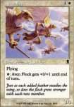 Stormo di Aviani