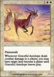 Antilope Leggiadra