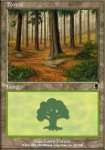 Foresta (V.1)