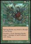 Ragno Sputatore