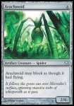 Aracnoide