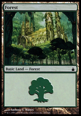 /prodotti/1/71/Forest2.jpg