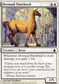 /prodotti/1/71/RA015.jpg
