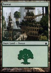 Foresta (V.2)