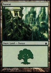 Foresta (V.4)