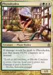 Phytoidra