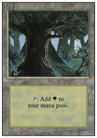 /prodotti/1/72/FOrest2.jpg
