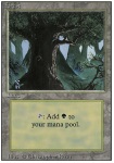 Foresta (V.3)