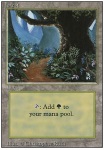 Foresta (V.2)
