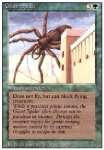 Ragno Gigante