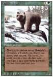 Orso Grizzly