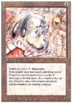 Muro Vivente