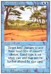 Terreno Illusorio