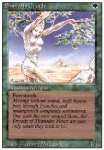 Driadi di Shanodin