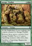 Thallid Selvaggia