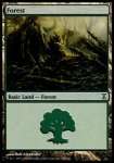 Foresta