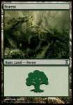 Foresta