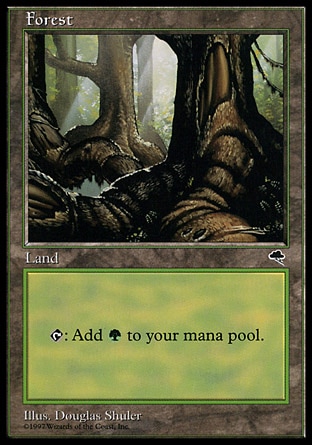 /prodotti/1/77/Forest.jpg
