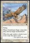 Aquila Caccianubi