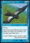 Condor di Cielsudario