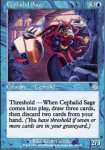 Saggio Cefalide