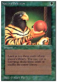 /prodotti/1/81/UN177.jpg