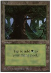 Foresta (V.3)
