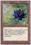 Loto Nero