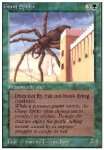 Ragno Gigante