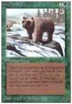 Orso Grizzly