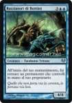 Razziatori di Bottini