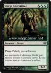 Strega Cacciatrice