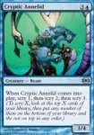 Anellide Criptico