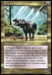 Ippopotamo Pigmeo