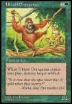 Orango di Uktabi