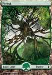 Foresta (Version 8)