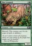 Leopardo Brumoso