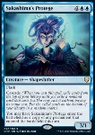 Apprendista di Sakashima
