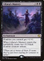 Maestria di Liliana