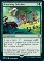 Branching Evolution