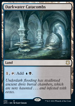 /prodotti/1/afc/commander-adventures-in-the-forgotten-realms-darkwater-catacombs-572407.jpg