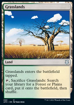 /prodotti/1/afc/commander-adventures-in-the-forgotten-realms-grasslands-572417.jpg