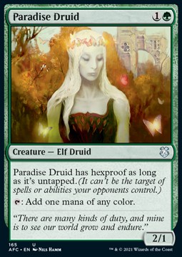/prodotti/1/afc/commander-adventures-in-the-forgotten-realms-paradise-druid-572339.jpg