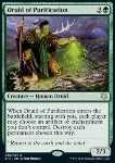 Druido della Purificazione